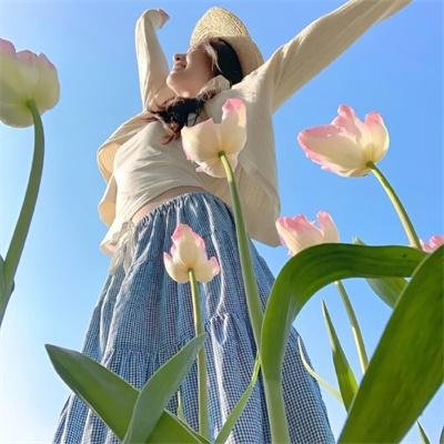 太极张三丰粤语 海报